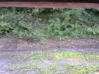 長野県菅平高原 ゆたか山荘 南側 2025/08/03 14:15