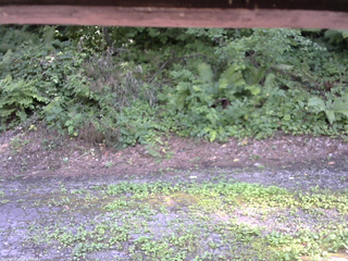 長野県菅平高原 ゆたか山荘 南側 2025/08/03 14:30