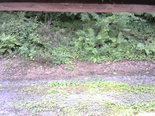 長野県菅平高原 ゆたか山荘 南側 2025/08/03 14:45