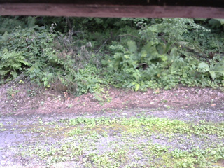 長野県菅平高原 ゆたか山荘 南側 2025/08/03 15:00