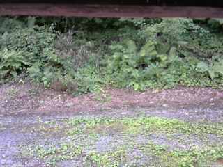 長野県菅平高原 ゆたか山荘 南側 2025/08/03 15:30