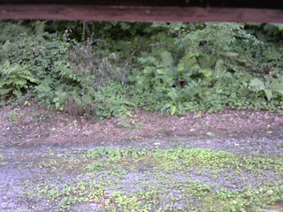 長野県菅平高原 ゆたか山荘 南側 2025/08/03 15:45