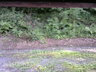 長野県菅平高原 ゆたか山荘 南側 2025/08/03 16:00