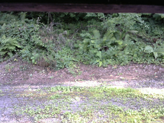 長野県菅平高原 ゆたか山荘 南側 2025/08/03 16:15