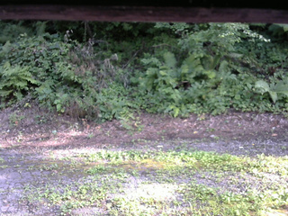 長野県菅平高原 ゆたか山荘 南側 2025/08/03 16:30