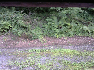 長野県菅平高原 ゆたか山荘 南側 2025/08/03 16:45