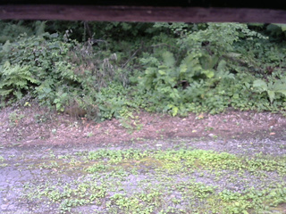 長野県菅平高原 ゆたか山荘 南側 2025/08/03 17:00