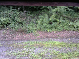 長野県菅平高原 ゆたか山荘 南側 2025/08/03 17:15