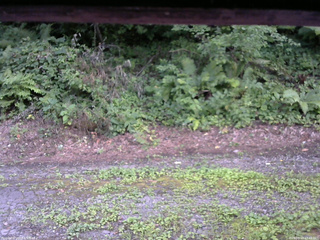 長野県菅平高原 ゆたか山荘 南側 2025/08/03 17:45