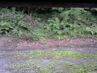 長野県菅平高原 ゆたか山荘 南側 2025/08/03 18:00