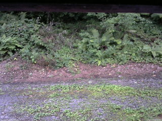 長野県菅平高原 ゆたか山荘 南側 2025/08/03 18:30