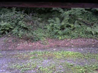 長野県菅平高原 ゆたか山荘 南側 2025/08/03 18:45