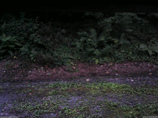 長野県菅平高原 ゆたか山荘 南側 2025/08/03 19:00