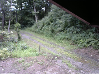 長野県菅平高原 ゆたか山荘 東側(坂下) 2025/08/03 09:15