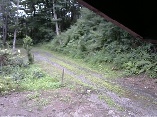 長野県菅平高原 ゆたか山荘 東側(坂下) 2025/08/03 09:30