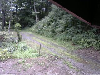 長野県菅平高原 ゆたか山荘 東側(坂下) 2025/08/03 10:15
