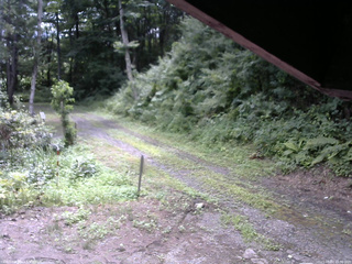 長野県菅平高原 ゆたか山荘 東側(坂下) 2025/08/03 10:30