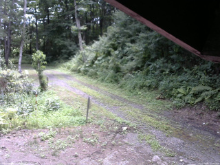 長野県菅平高原 ゆたか山荘 東側(坂下) 2025/08/03 11:00