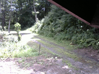 長野県菅平高原 ゆたか山荘 東側(坂下) 2025/08/03 11:15