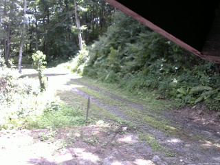 長野県菅平高原 ゆたか山荘 東側(坂下) 2025/08/03 11:30