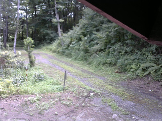 長野県菅平高原 ゆたか山荘 東側(坂下) 2025/08/03 12:00