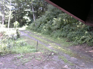 長野県菅平高原 ゆたか山荘 東側(坂下) 2025/08/03 13:15