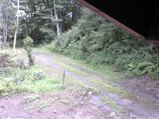 長野県菅平高原 ゆたか山荘 東側(坂下) 2025/08/03 13:45