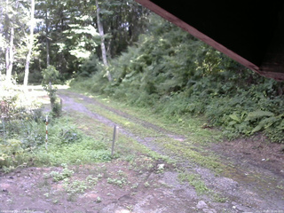 長野県菅平高原 ゆたか山荘 東側(坂下) 2025/08/03 14:00