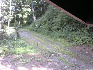 長野県菅平高原 ゆたか山荘 東側(坂下) 2025/08/03 14:45
