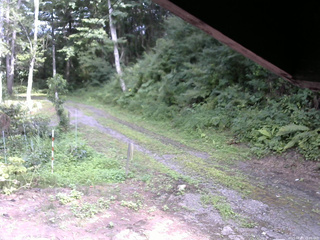 長野県菅平高原 ゆたか山荘 東側(坂下) 2025/08/03 15:00