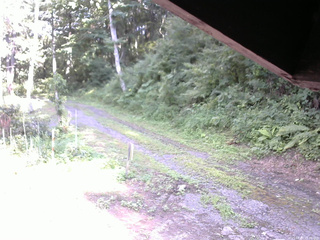 長野県菅平高原 ゆたか山荘 東側(坂下) 2025/08/03 15:30