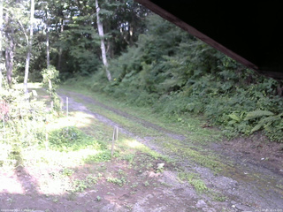 長野県菅平高原 ゆたか山荘 東側(坂下) 2025/08/03 16:15