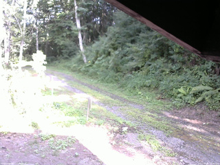 長野県菅平高原 ゆたか山荘 東側(坂下) 2025/08/03 16:30