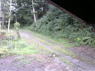 長野県菅平高原 ゆたか山荘 東側(坂下) 2025/08/03 16:45