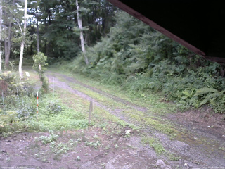 長野県菅平高原 ゆたか山荘 東側(坂下) 2025/08/03 17:00