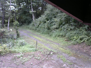 長野県菅平高原 ゆたか山荘 東側(坂下) 2025/08/03 17:15