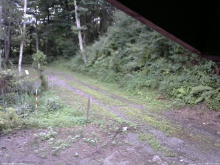 長野県菅平高原 ゆたか山荘 東側(坂下) 2025/08/03 17:30