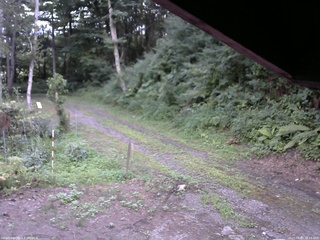 長野県菅平高原 ゆたか山荘 東側(坂下) 2025/08/03 18:15