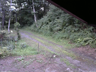 長野県菅平高原 ゆたか山荘 東側(坂下) 2025/08/03 18:30