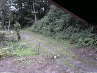 長野県菅平高原 ゆたか山荘 東側(坂下) 2025/08/03 18:45