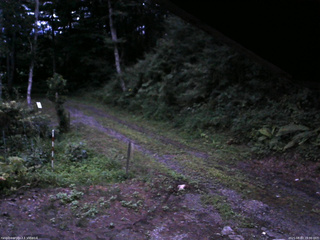 長野県菅平高原 ゆたか山荘 東側(坂下) 2025/08/03 19:00