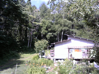 長野県菅平高原 ゆたか山荘 西側(坂上) 2025/08/03 08:45