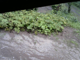 長野県菅平高原 ゆたか山荘 駐車場 2025/08/03 09:15