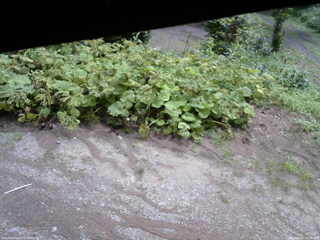 長野県菅平高原 ゆたか山荘 駐車場 2025/08/03 10:30