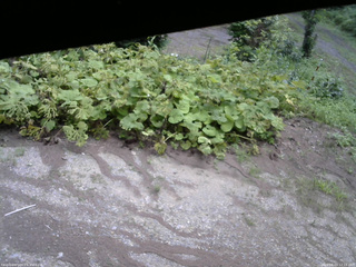 長野県菅平高原 ゆたか山荘 駐車場 2025/08/03 12:15
