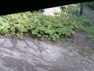 長野県菅平高原 ゆたか山荘 駐車場 2025/08/03 13:30