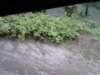長野県菅平高原 ゆたか山荘 駐車場 2025/08/03 17:15