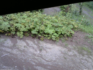 長野県菅平高原 ゆたか山荘 駐車場 2025/08/03 18:00
