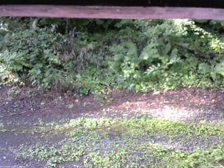 長野県菅平高原 ゆたか山荘 南側 2025/08/04 07:15