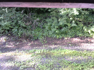 長野県菅平高原 ゆたか山荘 南側 2025/08/04 07:30